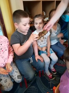 IMG_20180426_105904